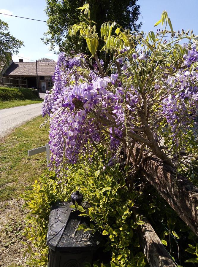 Le Beauregard Bed and Breakfast Rânes Buitenkant foto
